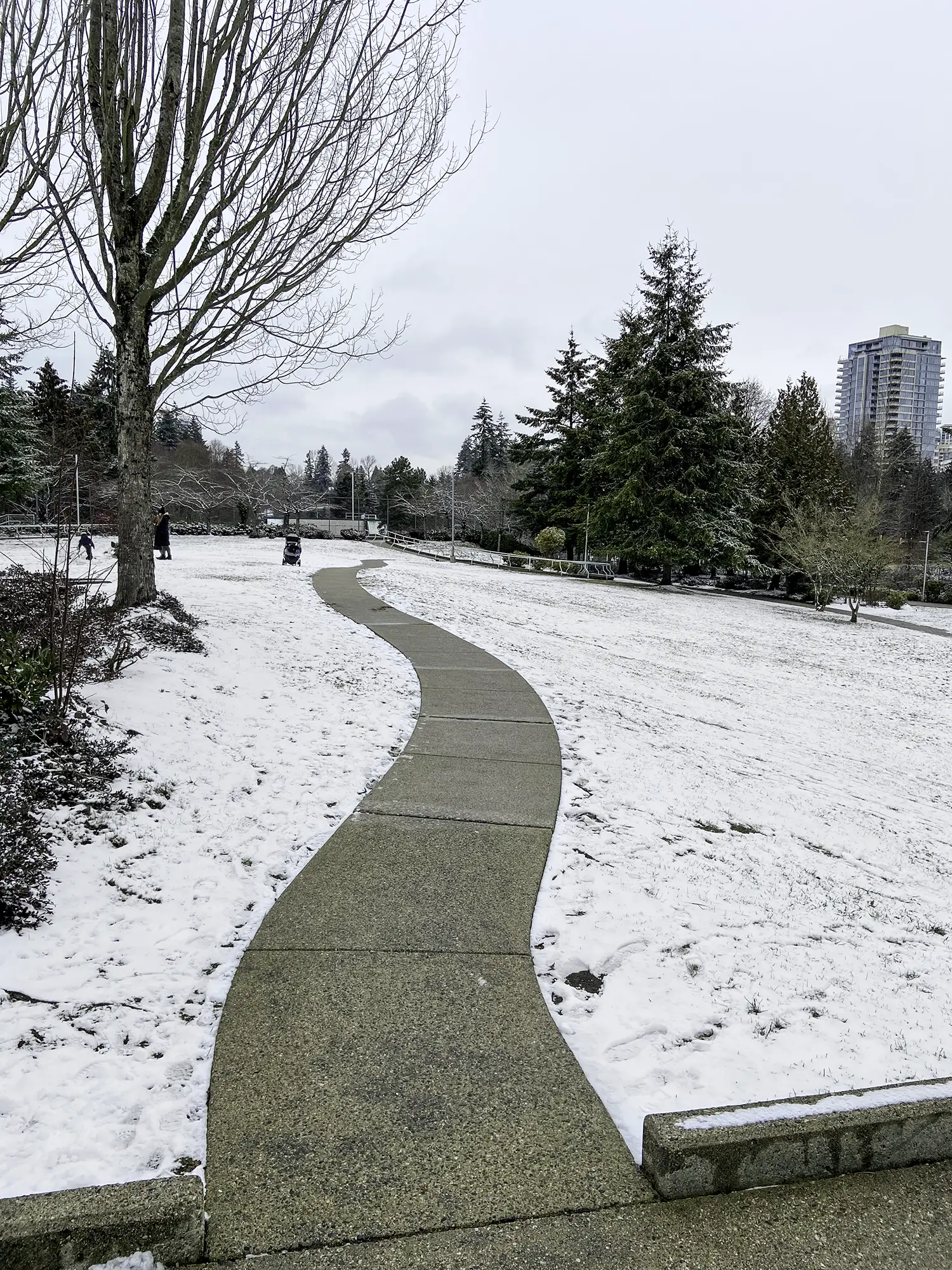 snow cleared off walking path